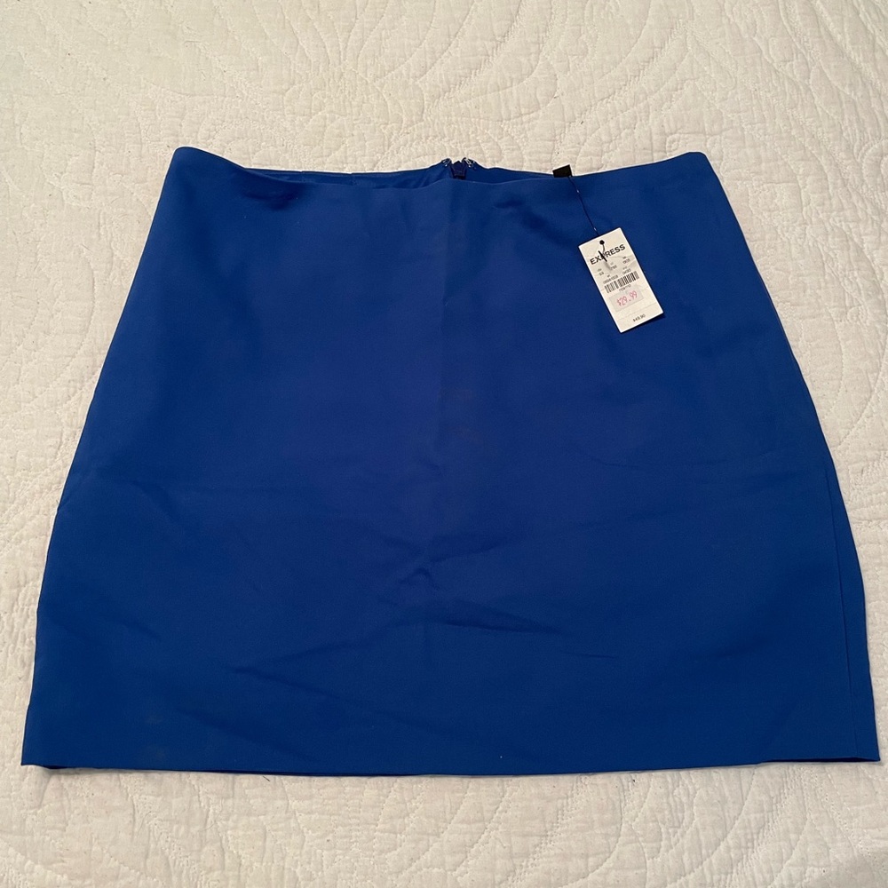 NWT express skirt